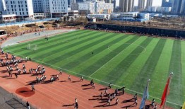 体育圈不是饭圈 吃瓜是什么意思,非饭圈文化下的“吃瓜”现象解析